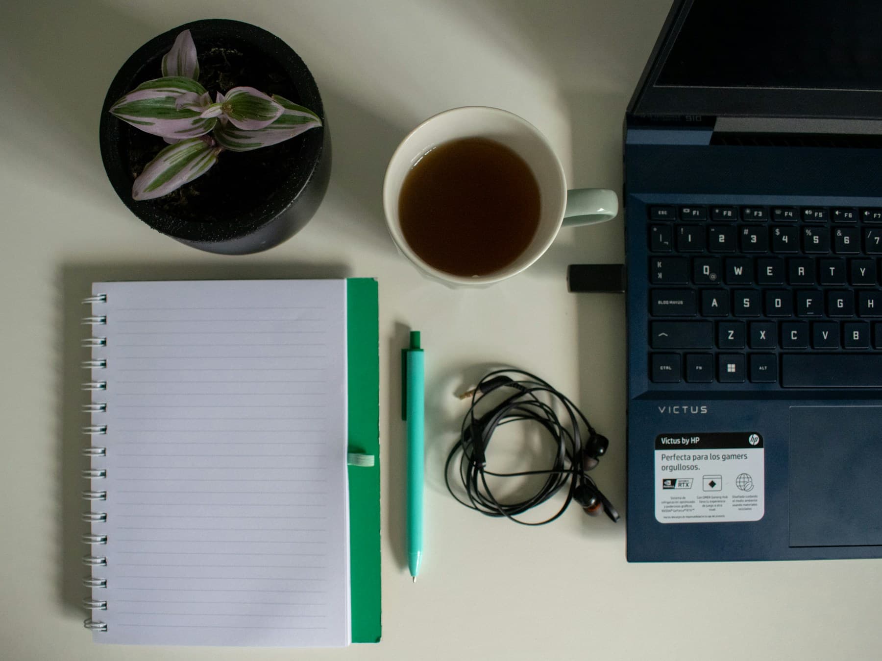A bright planning desk with a notebook, tea, and green plants